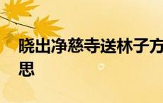 晓出净慈寺送林子方中别样的意思 别样的意思 