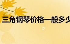 三角钢琴价格一般多少钱一台 三角钢琴价格 