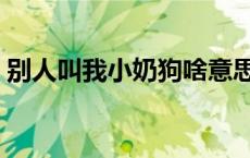 别人叫我小奶狗啥意思 被叫小奶狗什么意思 