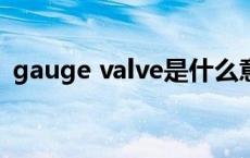 gauge valve是什么意思 valve是什么意思 