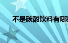 不是碳酸饮料有哪些 碳酸饮料有哪些 