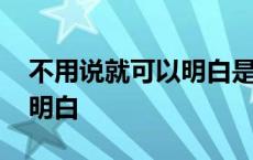 不用说就可以明白是什么词语 不用说就可以明白 