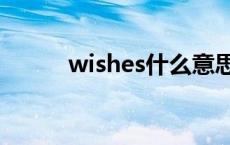 wishes什么意思 wish什么意思 