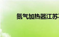 氮气加热器江苏不行 氮气加热器 