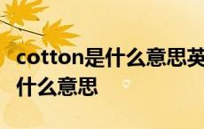 cotton是什么意思英语翻译成中文 cotton是什么意思 