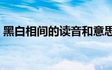 黑白相间的读音和意思解释 黑白相间的读音 