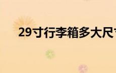 29寸行李箱多大尺寸 29寸行李箱多大 