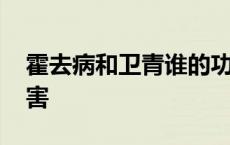 霍去病和卫青谁的功劳大 霍去病和卫青谁厉害 