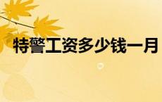 特警工资多少钱一月 武警工资多少钱一月 