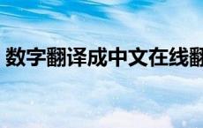 数字翻译成中文在线翻译器 数字翻译成中文 