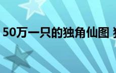 50万一只的独角仙图 独角仙和屎壳郎的区别 