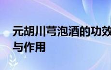 元胡川芎泡酒的功效与作用 川芎泡酒的功效与作用 