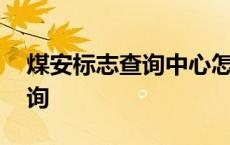 煤安标志查询中心怎么无法查询 煤安标志查询 