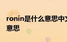 ronin是什么意思中文翻译罗宁 ronin是什么意思 