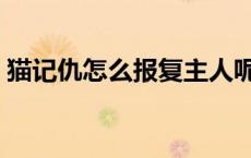 猫记仇怎么报复主人呢 猫记仇怎么报复主人 