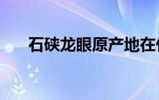 石硖龙眼原产地在什么地方 石硖龙眼 