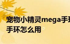 宠物小精灵mega手环怎么用 口袋妖怪mega手环怎么用 