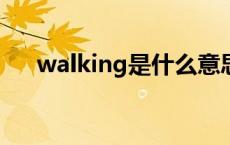 walking是什么意思 wing是什么意思 