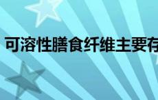 可溶性膳食纤维主要存在于 可溶性膳食纤维 