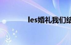 les婚礼我们结婚了 les婚礼 