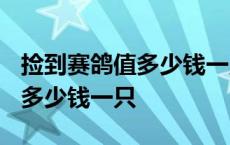 捡到赛鸽值多少钱一只编号2023 捡到赛鸽值多少钱一只 