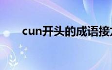 cun开头的成语接龙 cun开头的成语 