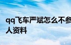 qq飞车严斌怎么不参加比赛了 qq飞车严斌个人资料 