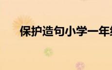 保护造句小学一年级 保护造句一年级 