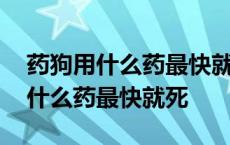 药狗用什么药最快就死而且还能吃肉 药狗用什么药最快就死 