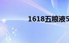 1618五粮液52度价格 161 