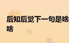 后知后觉下一句是啥 恶搞 后知后觉下一句是啥 