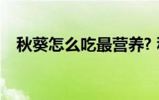 秋葵怎么吃最营养? 秋葵怎么吃最有营养 