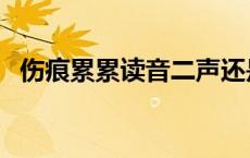 伤痕累累读音二声还是三声 伤痕累累读音 