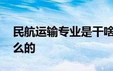 民航运输专业是干啥的 民航运输专业是干什么的 