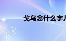 戈鸟念什么字儿? 戈鸟念什么 