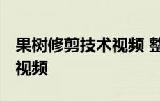 果树修剪技术视频 整形和修剪 果树修剪技术视频 