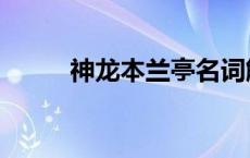 神龙本兰亭名词解释 神龙本兰亭 