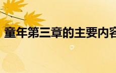 童年第三章的主要内容 童年主要内容200字 