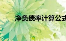 净负债率计算公式 负债率计算公式 