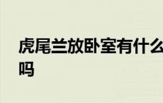 虎尾兰放卧室有什么好处 虎尾兰可以放卧室吗 