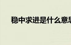 稳中求进是什么意思? 稳中求进的含义 