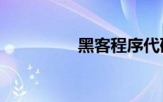 黑客程序代码 黑客程序 