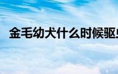 金毛幼犬什么时候驱虫 幼犬什么时候驱虫 