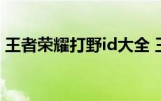 王者荣耀打野id大全 王者荣耀好听的打野id 