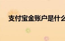 支付宝金账户是什么意思 支付宝金账户 