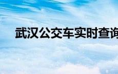 武汉公交车实时查询 武汉地铁最早几点 