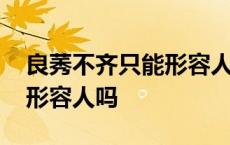 良莠不齐只能形容人吗为什么 良莠不齐只能形容人吗 