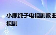 小鹿纯子电视剧歌曲轻音乐试屏 小鹿纯子电视剧 