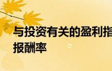 与投资有关的盈利指标净资产报酬率 净资产报酬率 