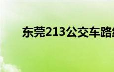 东莞213公交车路线 213公交车路线 